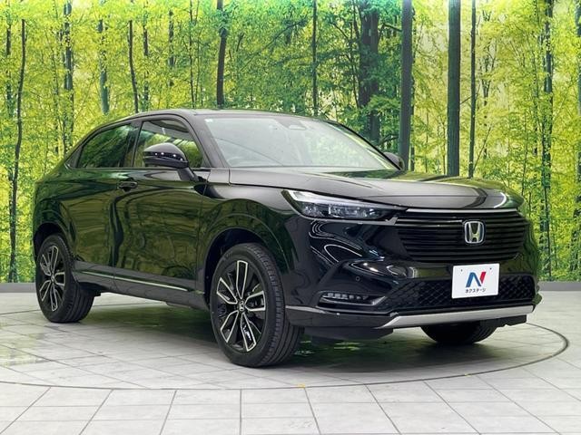 25138120_carP_l_11.jpg