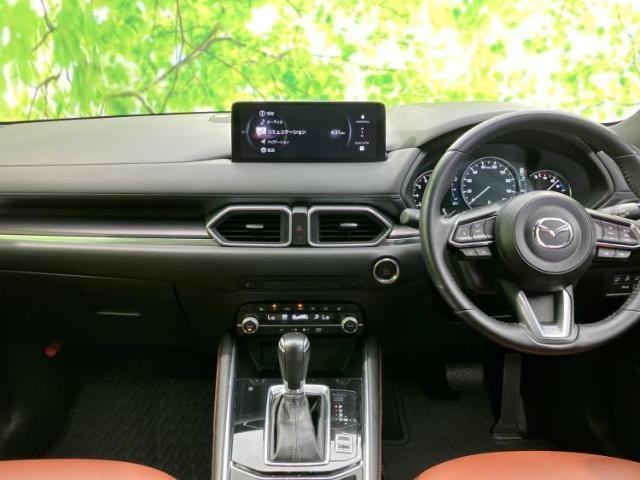 24305640_carP_l_4.jpg