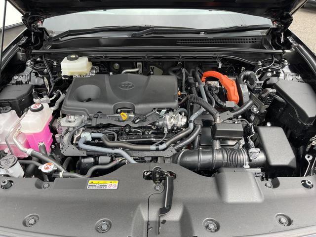 24807649_carP_l_16.jpg