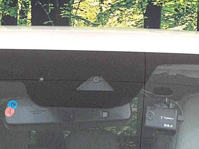 25507407_carP_l_10.jpg