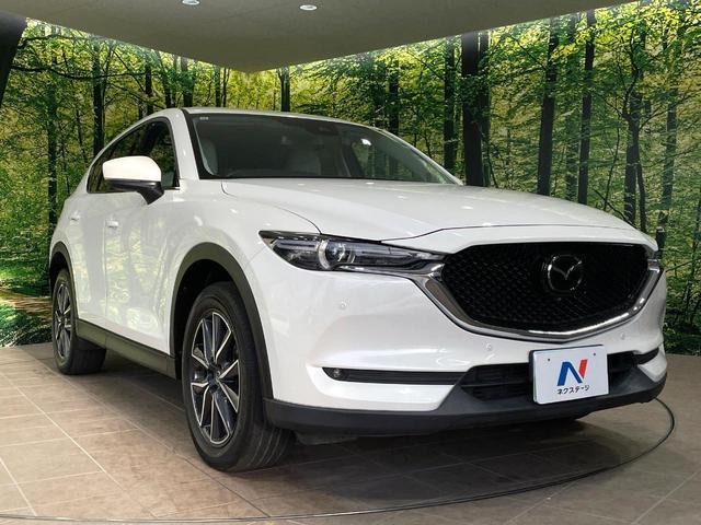 25507407_carP_l_11.jpg