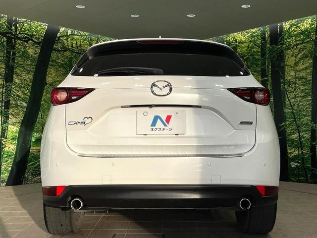 25507407_carP_l_9.jpg