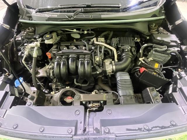 26492027_carP_l_11.jpg