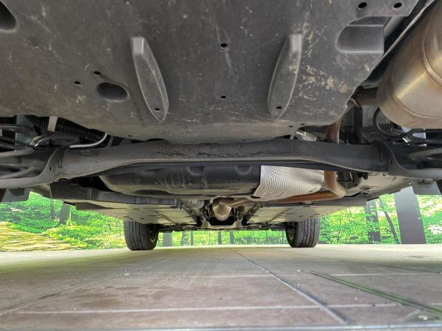 23772019_carP_l_18.jpg