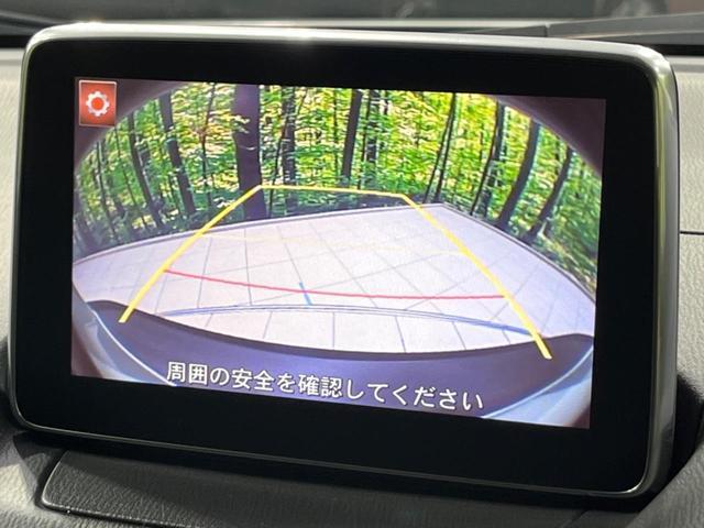 23188416_carP_l_4.jpg