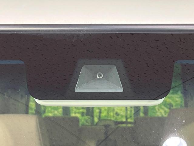 23616026_carP_l_15.jpg