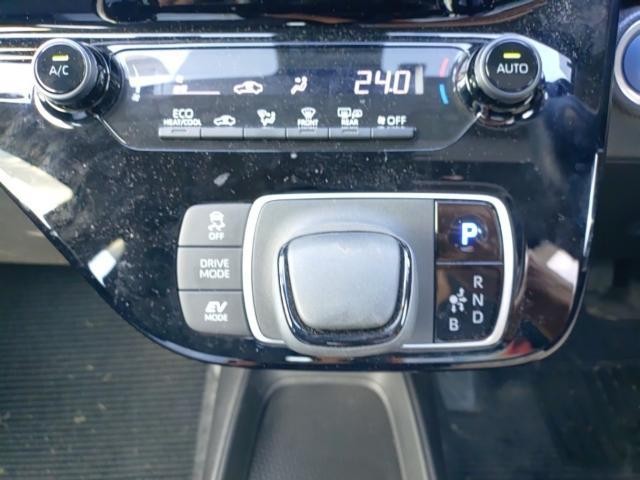 26766157_carP_l_6.jpg