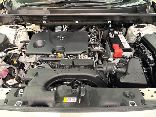 26356297_carP_l_16.jpg