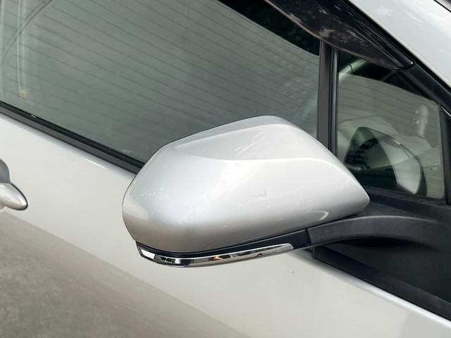 25609669_carP_l_9.jpg