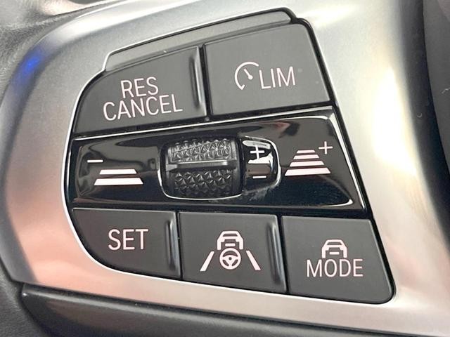 26105798_carP_l_4.jpg