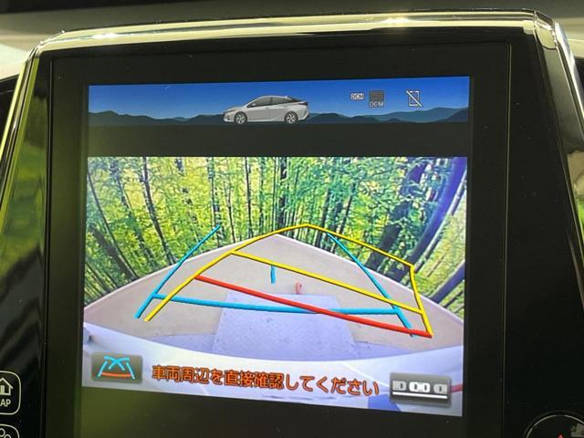 24807664_carP_l_13.jpg