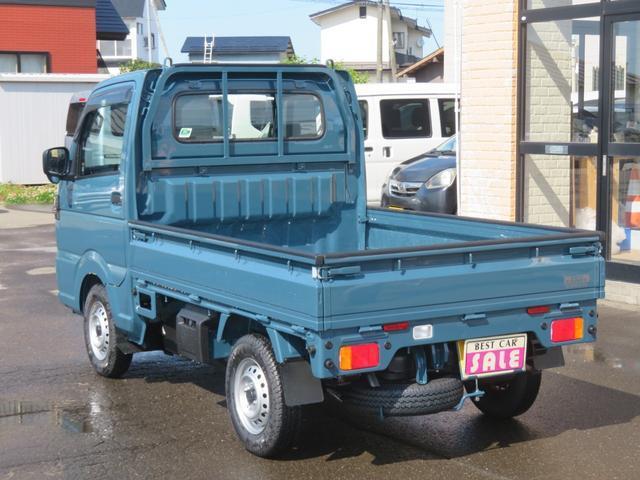24314498_carP_l_10.jpg