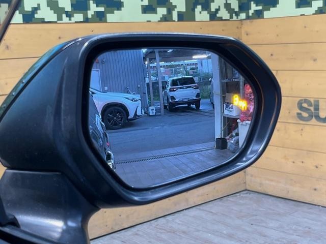 26356770_carP_l_13.jpg