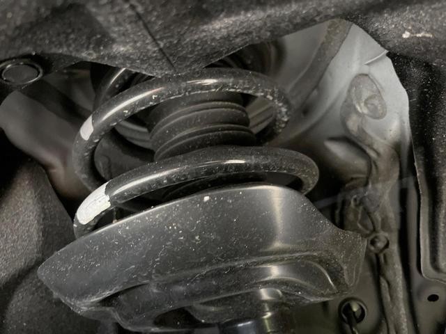 25754458_carP_l_20.jpg