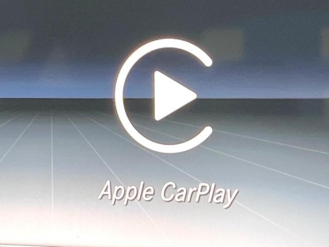 26105800_carP_l_14.jpg