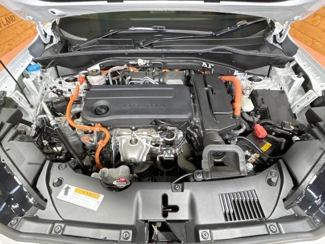 26534587_carP_l_18.jpg