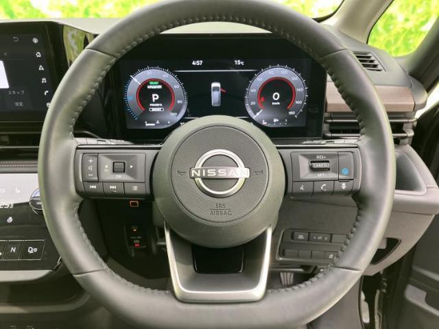 24022811_carP_l_9.jpg