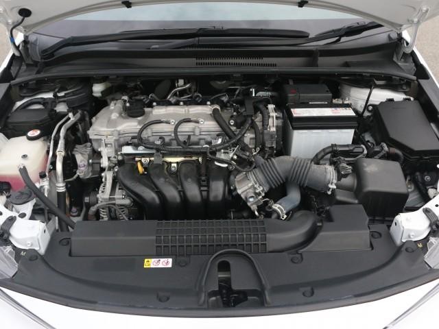 26174103_carP_l_17.jpg