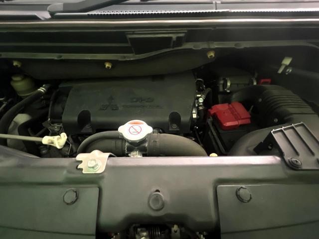 25075770_carP_l_18.jpg