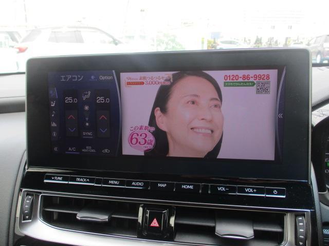 23402129_carP_l_10.jpg