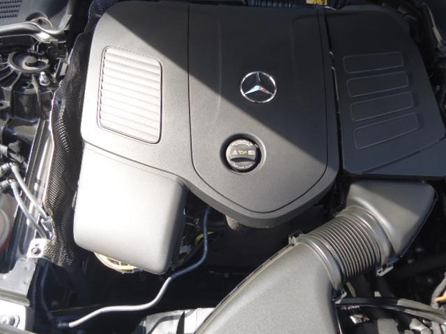 24074456_carP_l_17.jpg