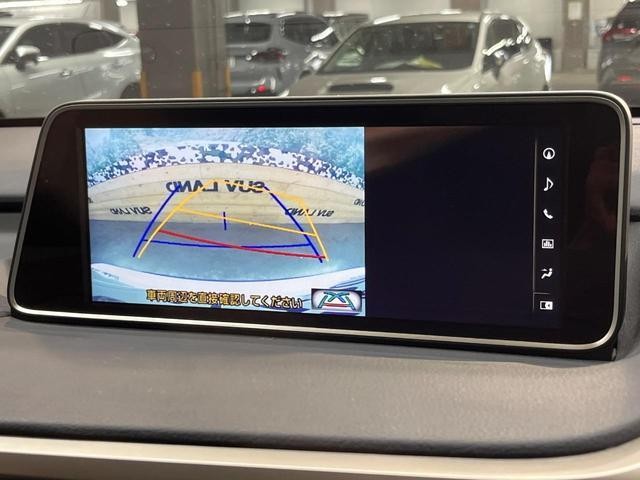 25075843_carP_l_10.jpg