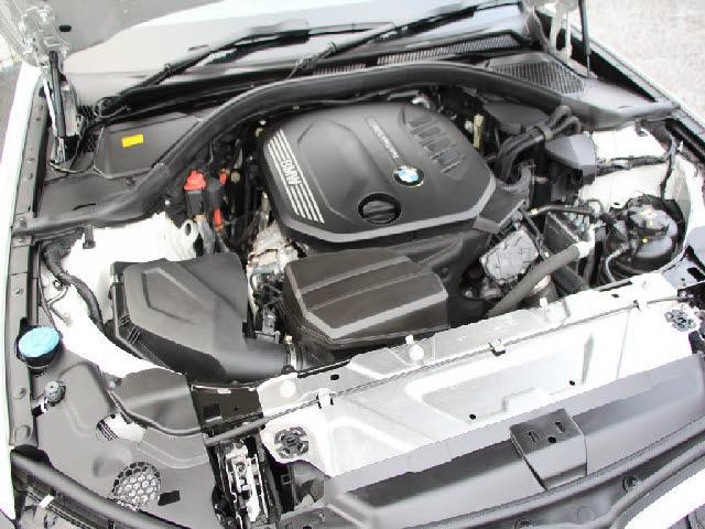 24074543_carP_l_4.jpg