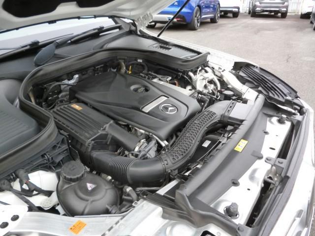 24461450_carP_l_17.jpg