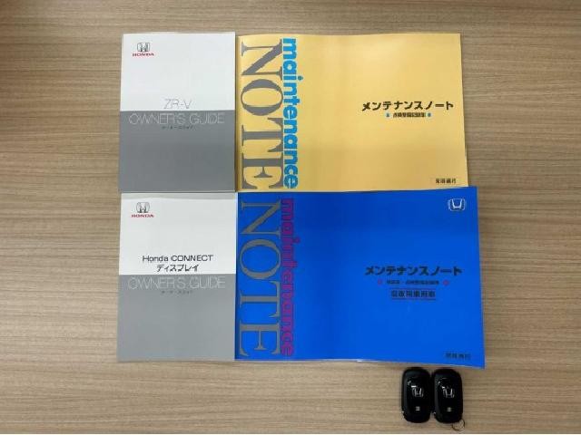 26930939_carP_l_3.jpg