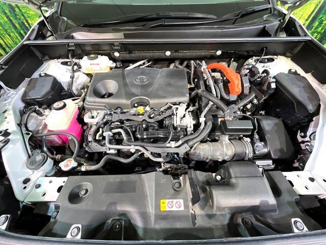 24500895_carP_l_16.jpg