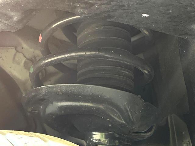 24500895_carP_l_20.jpg
