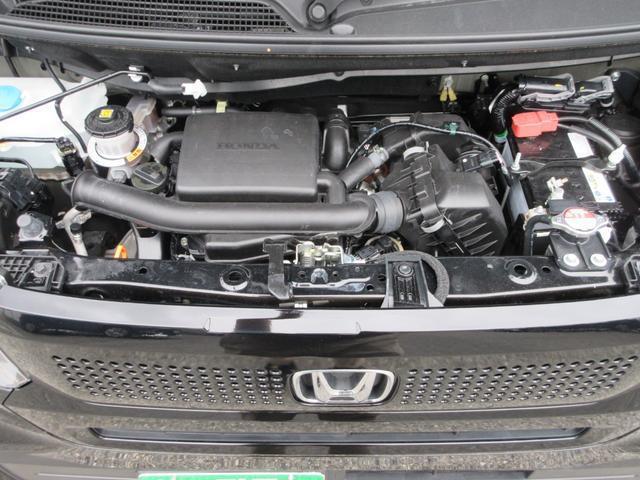 24747451_carP_l_17.jpg