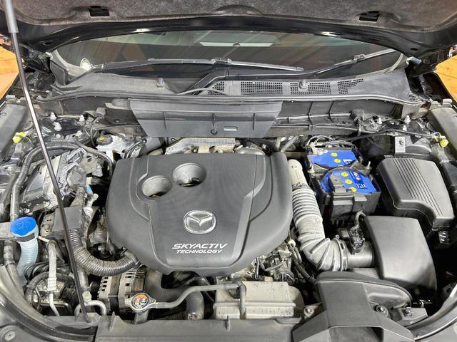 23827317_carP_l_18.jpg