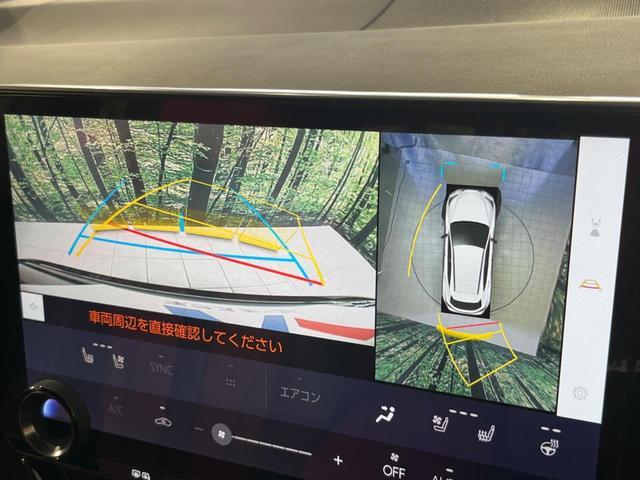 23925567_carP_l_10.jpg