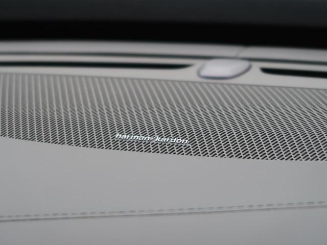 24685780_carP_l_13.jpg