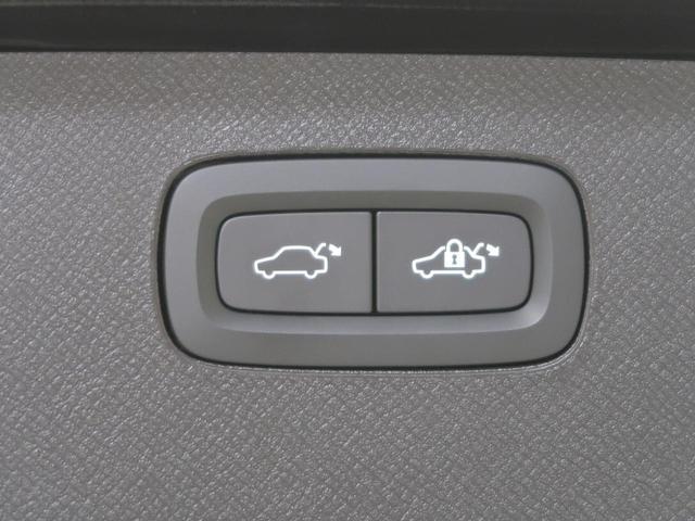 24685780_carP_l_7.jpg
