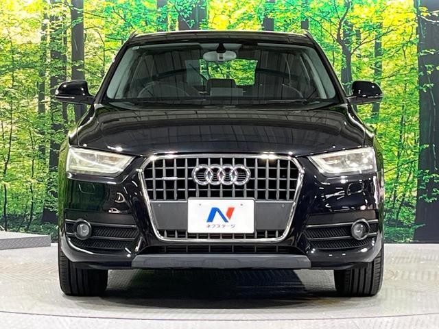 27052245_carP_l_9.jpg