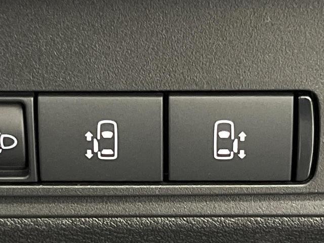 25754499_carP_l_17.jpg