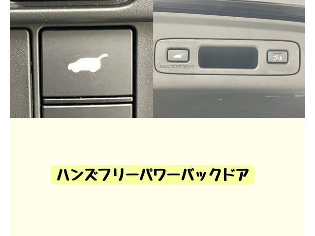 26898271_carP_l_14.jpg