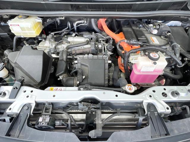 23497777_carP_l_18.jpg