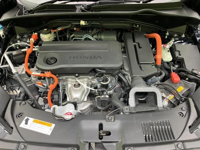 25754505_carP_l_16.jpg