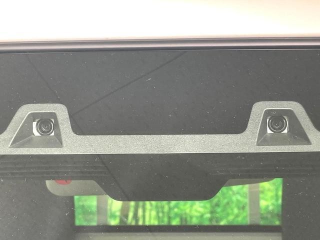26924809_carP_l_4.jpg