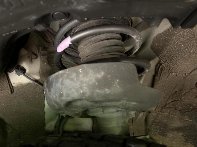 24787609_carP_l_20.jpg