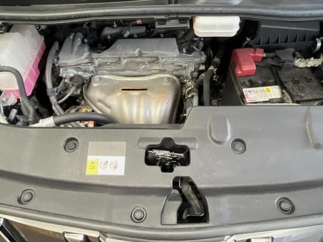25884915_carP_l_18.jpg