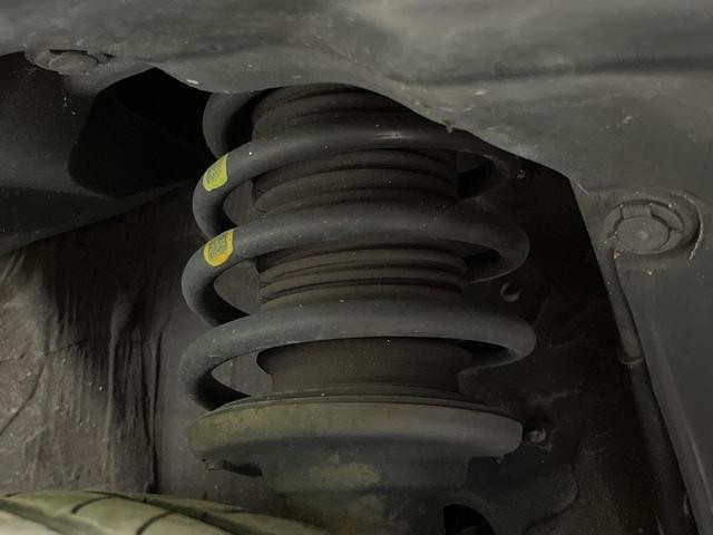 25754713_carP_l_20.jpg