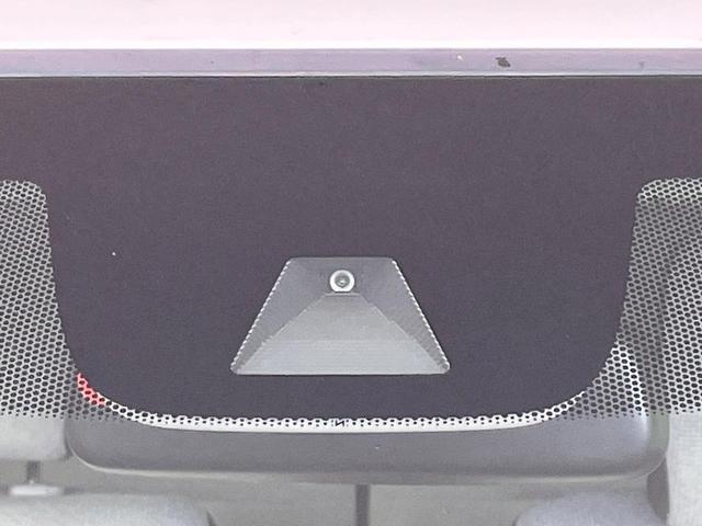 24787622_carP_l_10.jpg