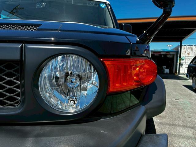 24240179_carP_l_12.jpg