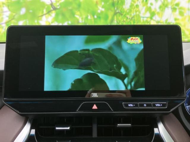 22994709_carP_l_7.jpg