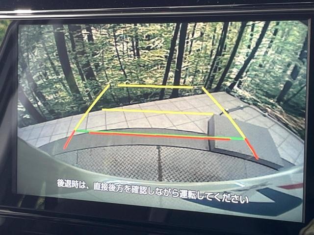 25754729_carP_l_10.jpg