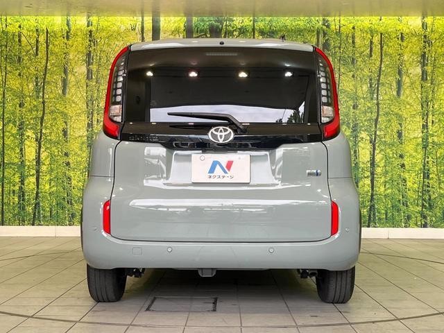 25445430_carP_l_9.jpg